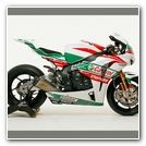 Castrol Honda Fireblade CBR 1000RR 2011