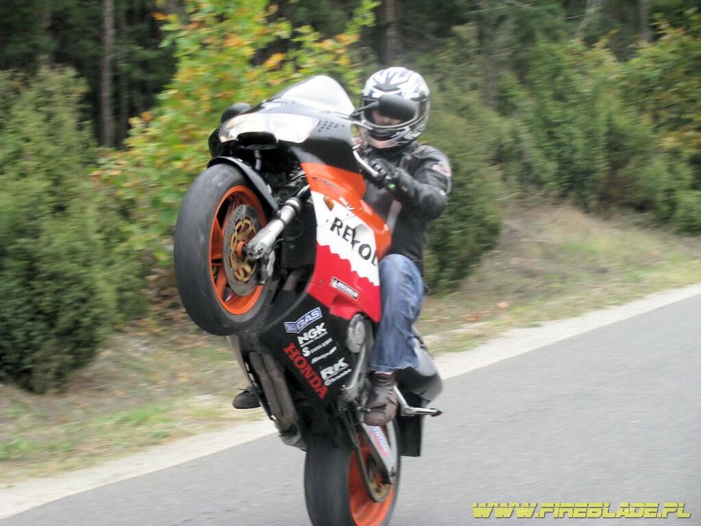 Honda FireBlade