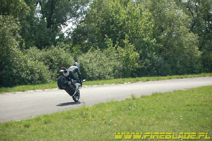 Honda FireBlade