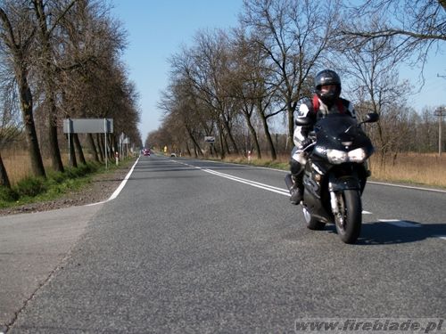 Honda FireBlade