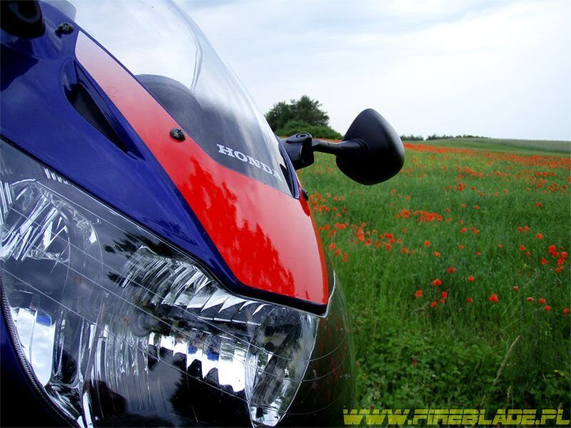 Honda FireBlade