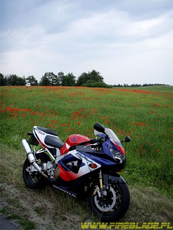Honda FireBlade