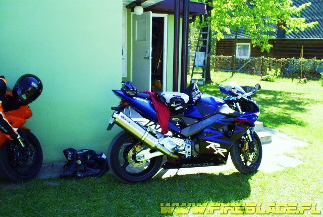 Honda FireBlade