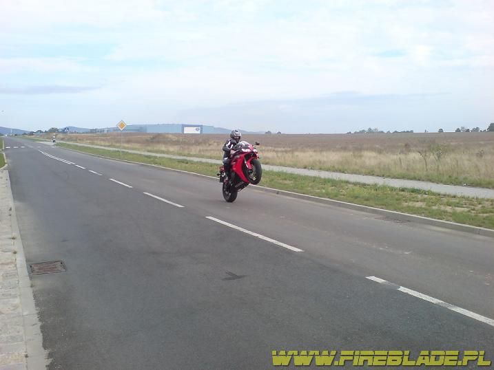 Honda FireBlade