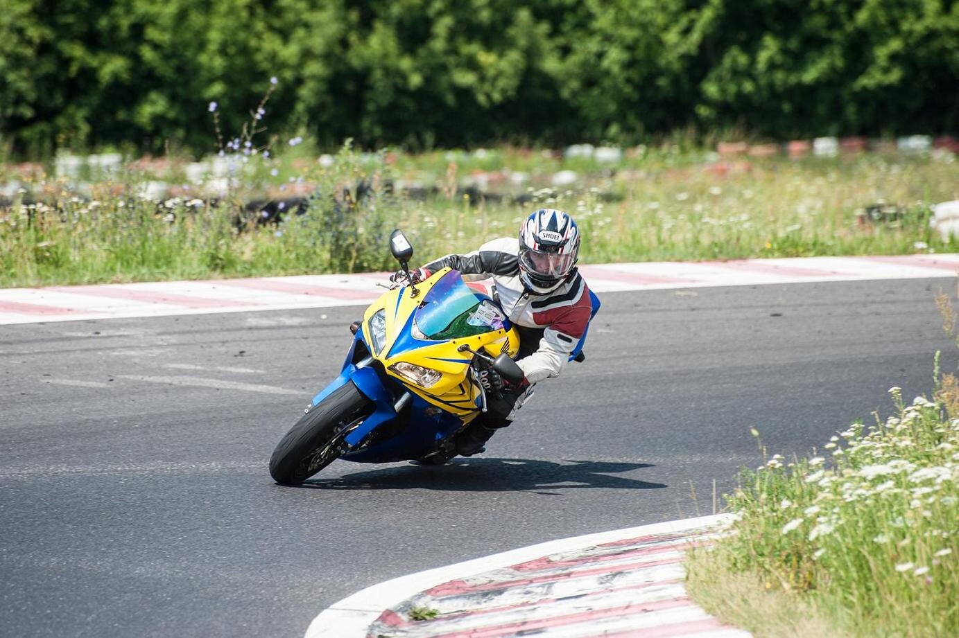 Honda FireBlade