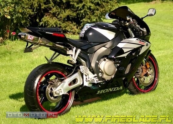 Honda FireBlade