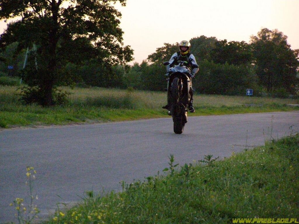 Honda FireBlade
