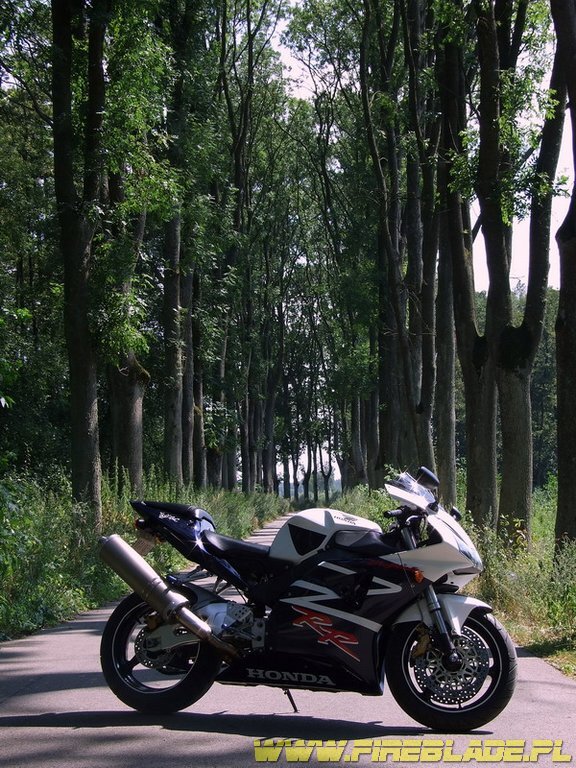 Honda FireBlade