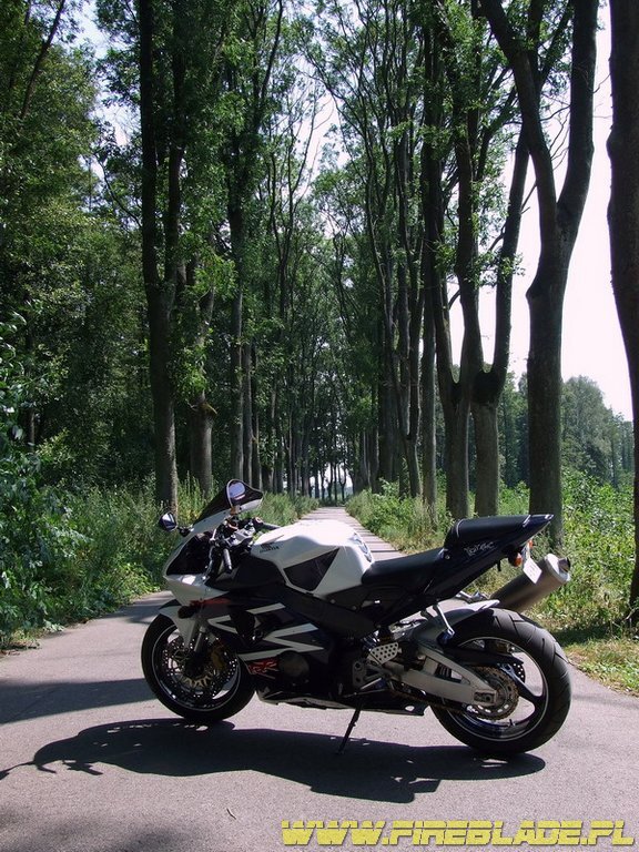 Honda FireBlade