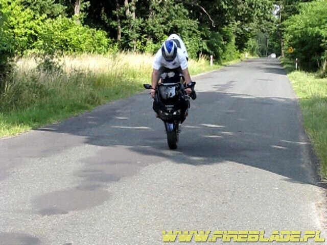 Honda FireBlade