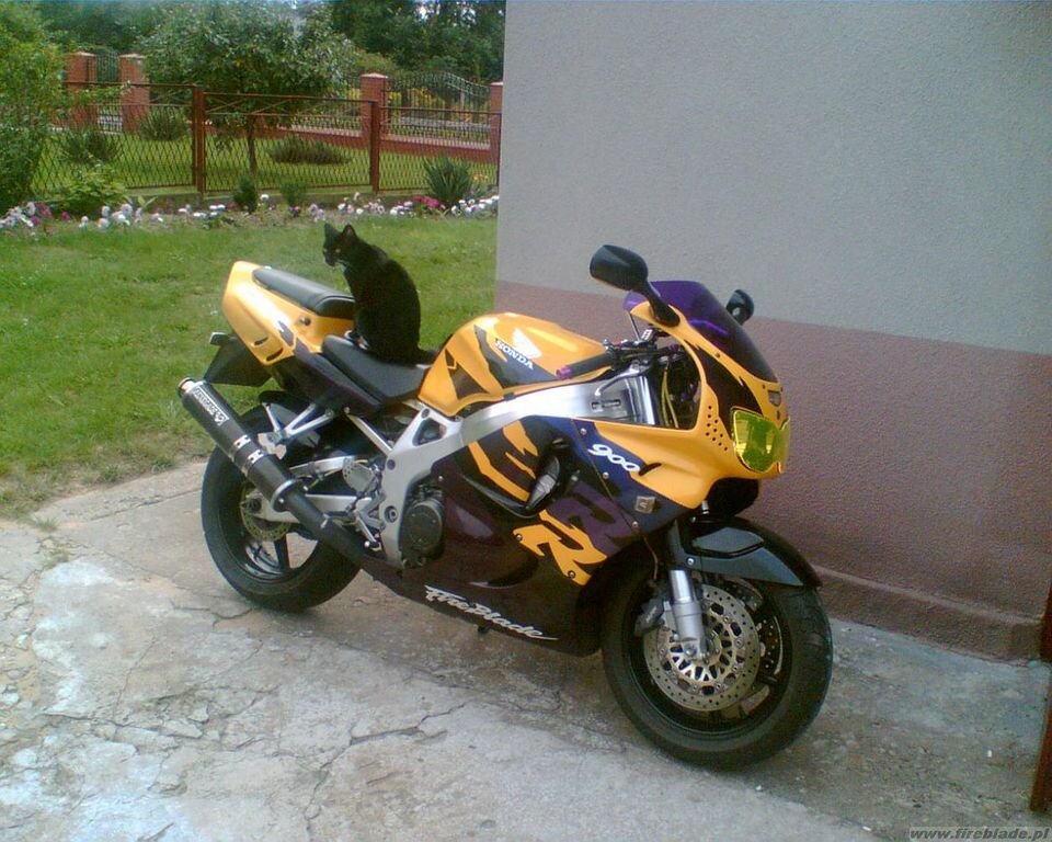 Honda FireBlade