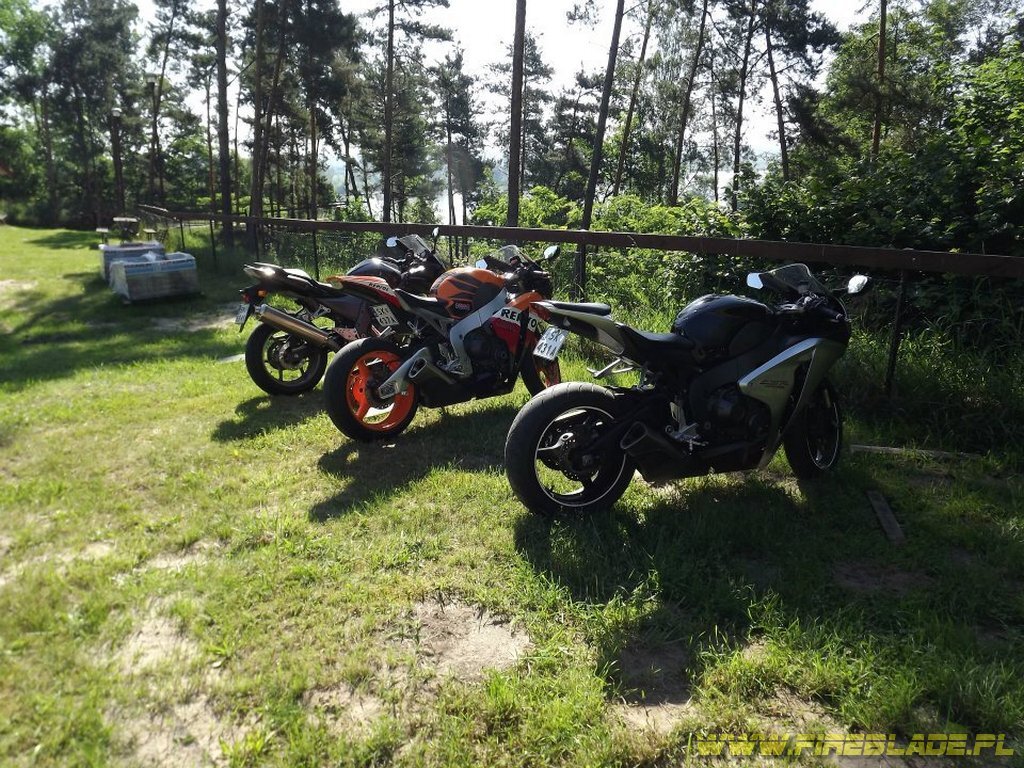 Honda FireBlade