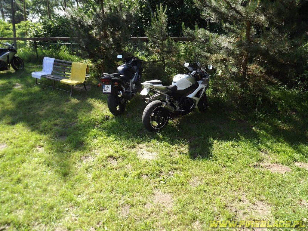 Honda FireBlade