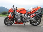 blady 1164ccm