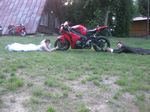 Dodał: Admin - 25.06.2012 - 