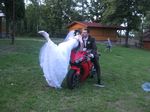 Dodał: Admin - 25.06.2012 - 