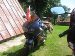 Dodał: Admin - 25.06.2012 - 