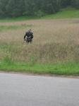 Dodał: Admin - 01.08.2011 - 